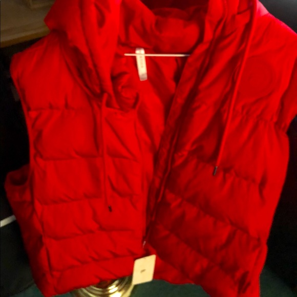 Puffer Vest - Picture 1 of 3